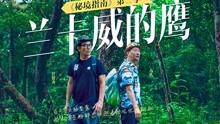 有哪些童谣-最全面的问答类网站